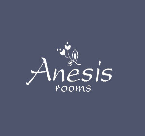 <span>Ξενοδοχείο ANESIS</span><i>→</i>